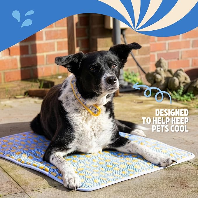 Rosewood Premium Dog Cooling Mat and Cover - 53 x 68cm