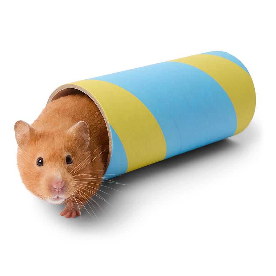 Small Hamster Chew Tube