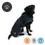 Stormguard Navy Coat Small