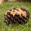 Ancol Orva Pine Cone Treat Dispensing Dog Toy
