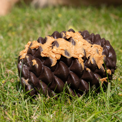 Ancol Orva Pine Cone Treat Dispensing Dog Toy