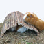 BB Flexible Hideaway - Large
