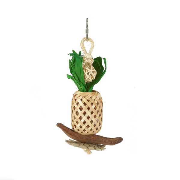 BB Pineapple Lantern Bird Toy