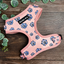 A&C Harness Blooming Blossom XS