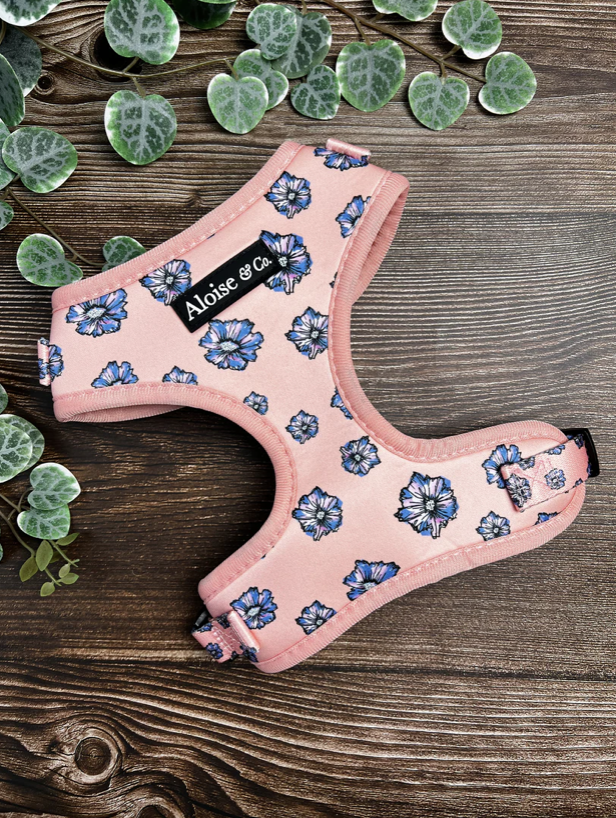 A&C Harness Blooming Blossom XS