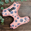 A&C Harness Blooming Blossom Medium