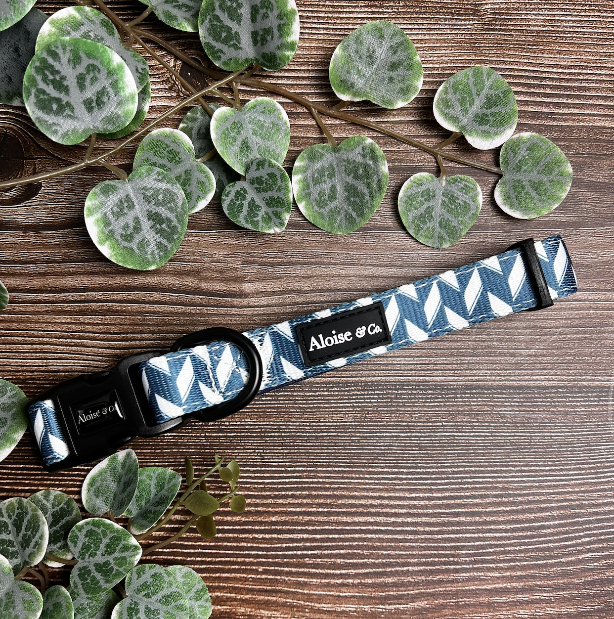 A&C Collar Handsome Herringbone XS