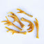 Pure & Natural CHICKEN FEET RE-FILL 15kg