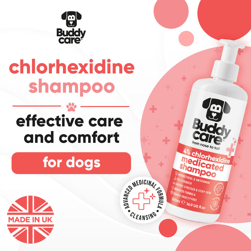 Buddycare Chlorhexidine Shampoo - 500ml / 16.9 fl oz
