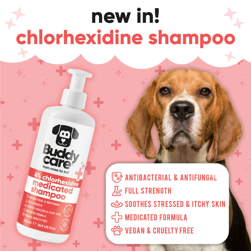 Buddycare Chlorhexidine Shampoo - 500ml / 16.9 fl oz