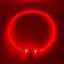 Flashing Collar - Clear Colours