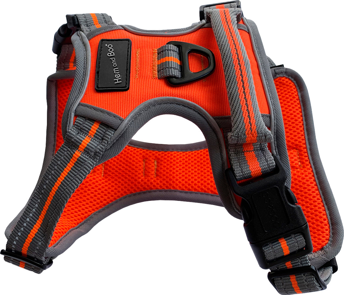 XS Sports Harness Orange