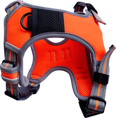 XS Sports Harness Orange