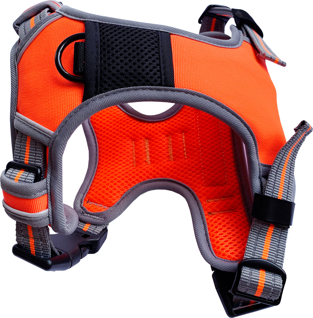 Large Sports Harness Orange