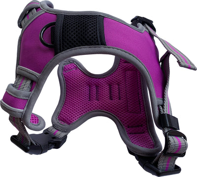 Medium Sports Harness Purple