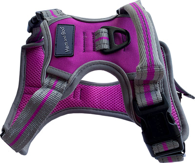 Sports Harness Purple X Large