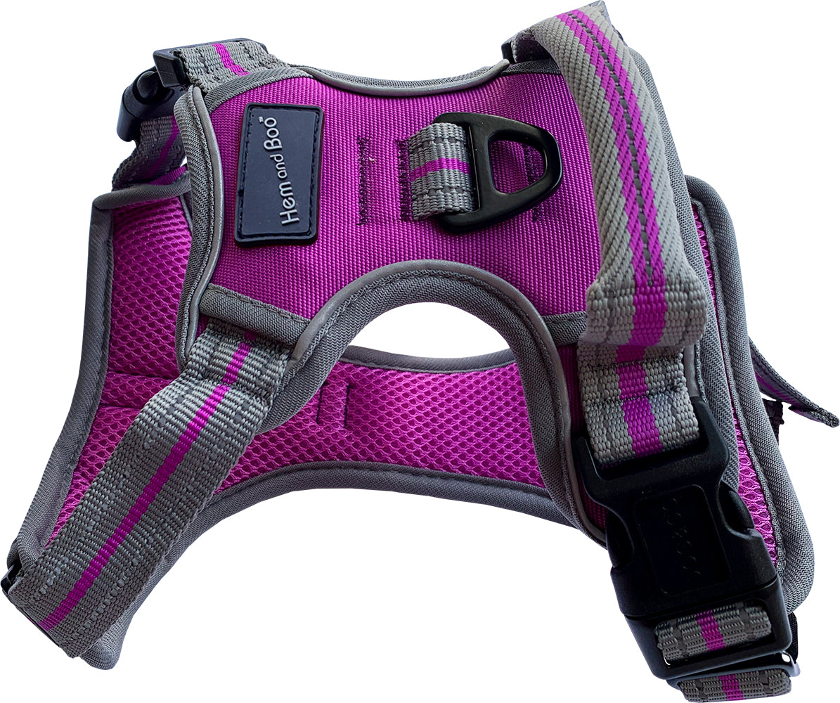 Small Sports Harness Purple