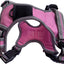 XL Sports Harness Pink