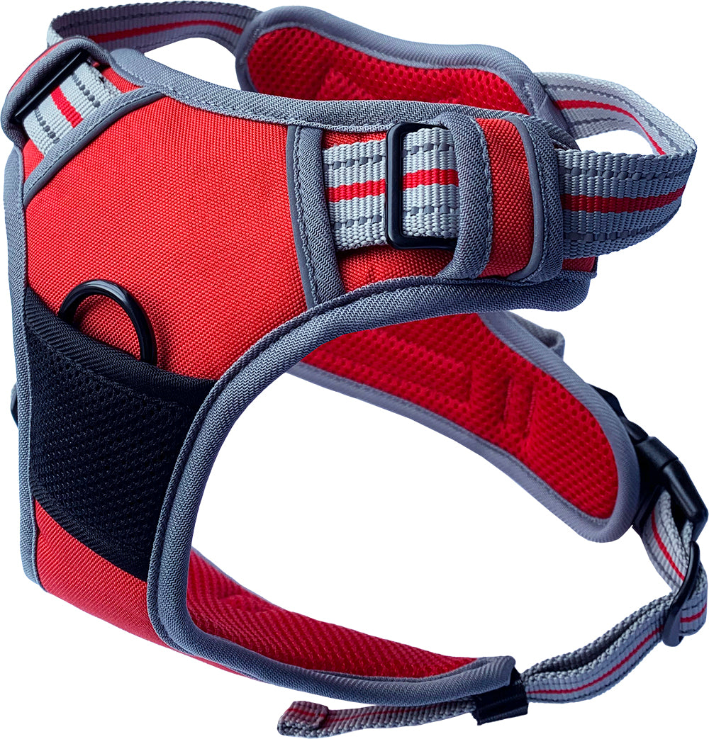 Small Sports Harness Red