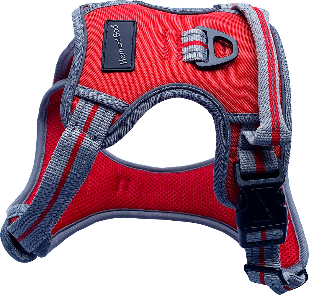 Small Sports Harness Red