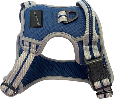 XL Sports Harness Blue