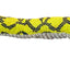 Green/Yellow Snake Medium