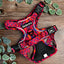 A&C MTW Harness Red Sunsets Small