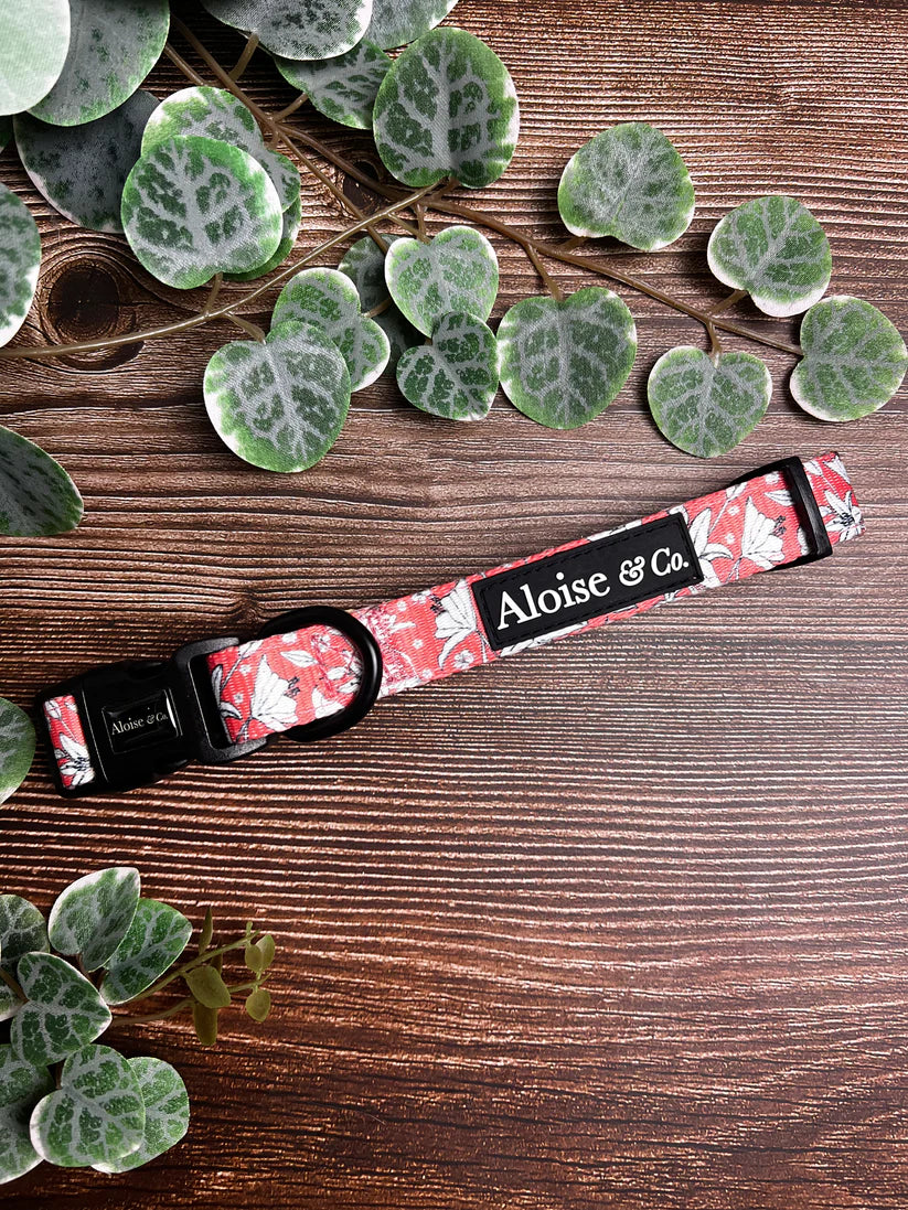 A&C Collar Little Lillies Small