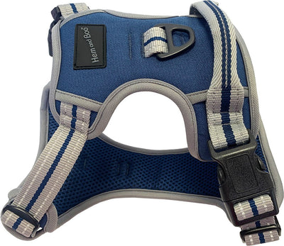 Small Sports Harness Blue