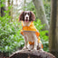 Sotnos Sunshine Yellow Raincoat S NEW