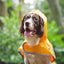 Sotnos Sunshine Yellow Raincoat XL NEW
