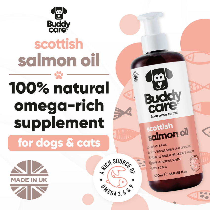 Buddycare Salmon Oil - 1L / 33.8 fl oz