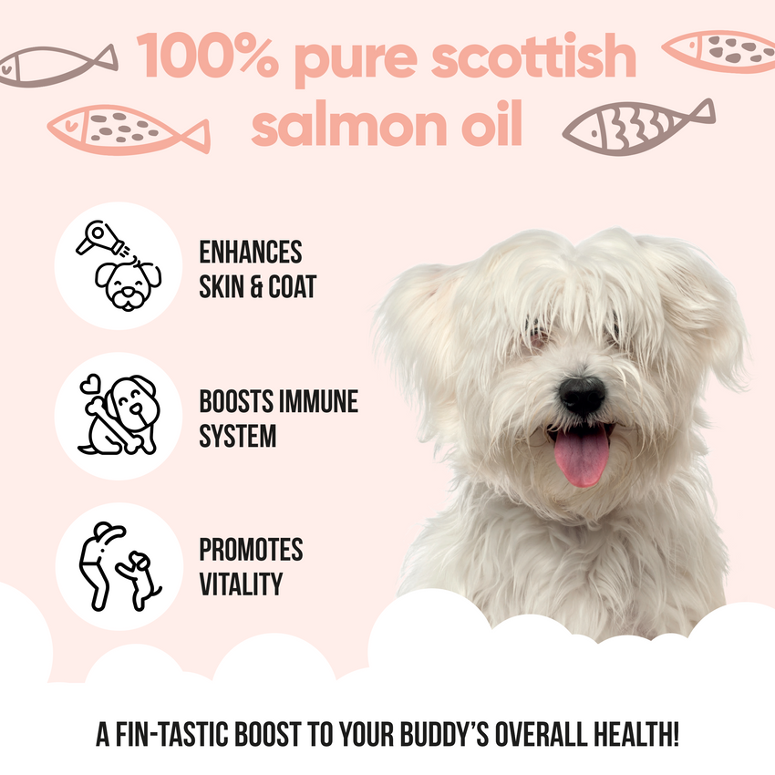 Buddycare Salmon Oil - 1L / 33.8 fl oz