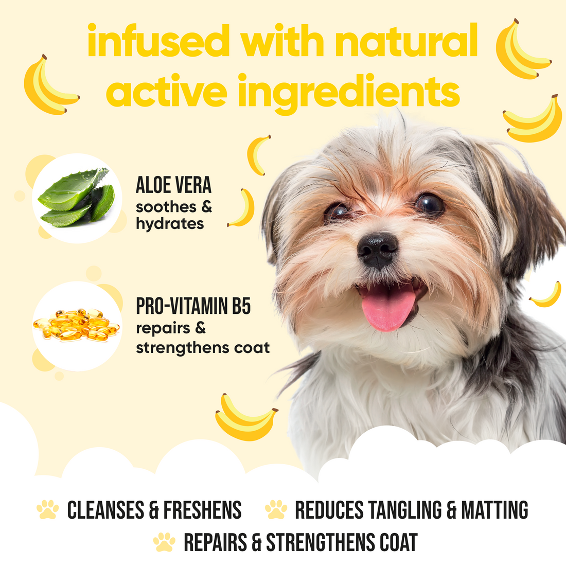 Buddycare Dog Shampoo - Banana - 500ml / 16.9 fl oz