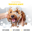 Buddycare Dog Shampoo - Banana - 500ml / 16.9 fl oz