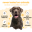 Buddycare Itch Relief Milk & Honey - Dog Shampoo - 5L