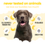 Buddycare Dog Shampoo - Banana - 500ml / 16.9 fl oz