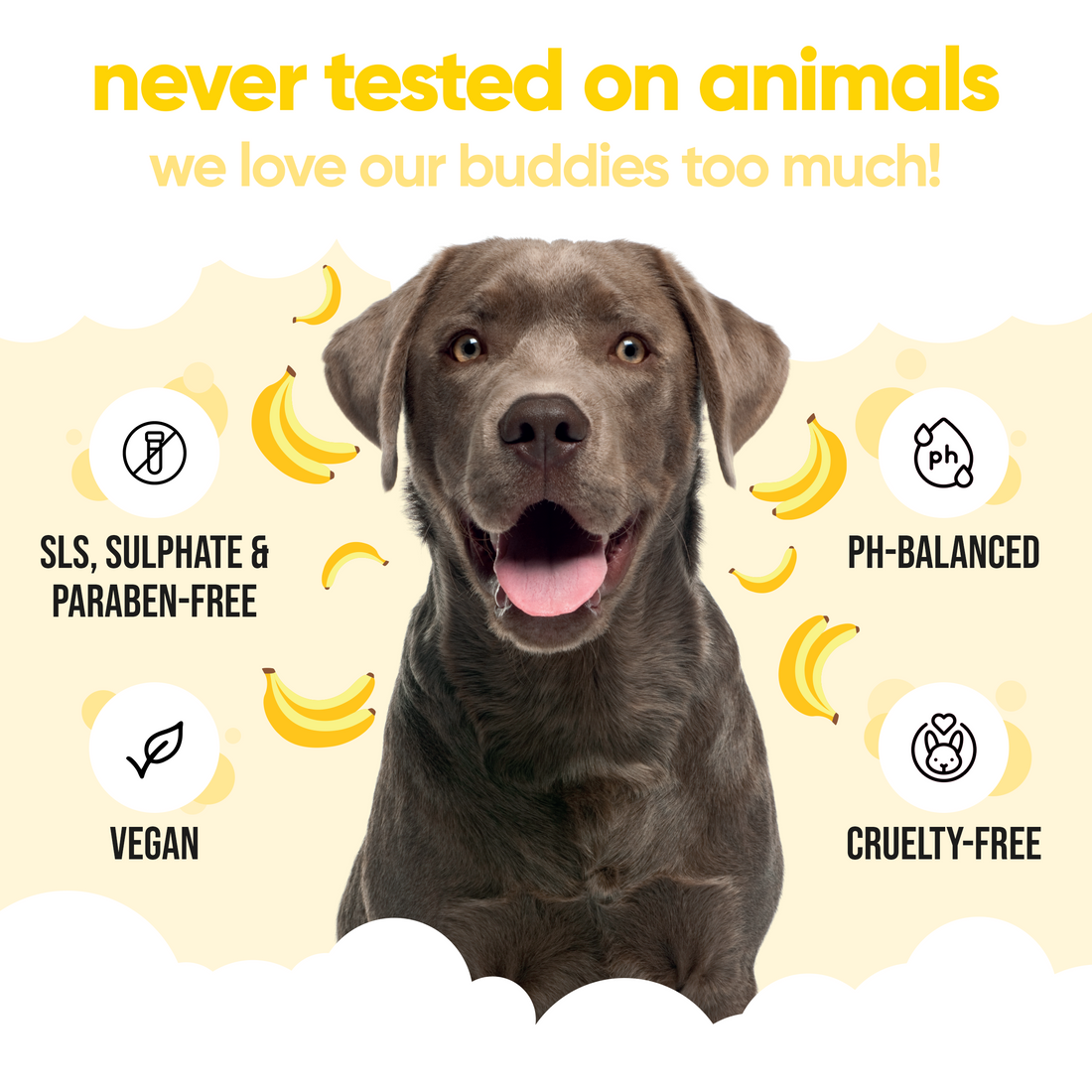 Buddycare Dog Shampoo - Banana - 500ml / 16.9 fl oz