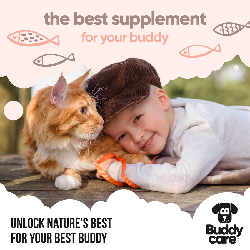 Buddycare Salmon Oil - 1L / 33.8 fl oz