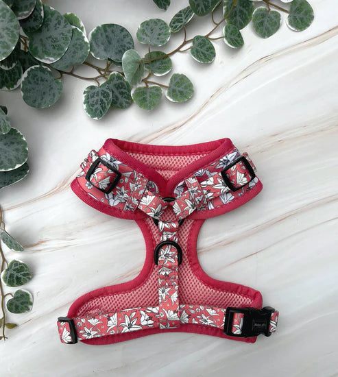 A&C Harness Little Lillies Medium