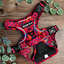 A&C MTW Harness Red Sunsets XS