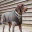 Heritage Wax Cotton Dog Coat Small/Medium