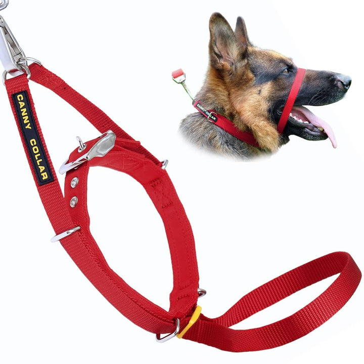 Canny Collar No-Pull Dog Headcollar - Red – Size 5