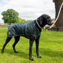 Heritage Green XXL Quilted Coat
