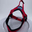 D&C XL Reflective Padded Harness Red