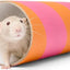 Medium Rat Chew Tube