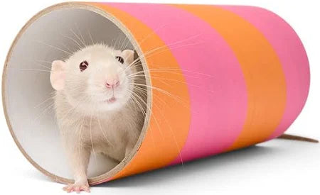 Medium Rat Chew Tube
