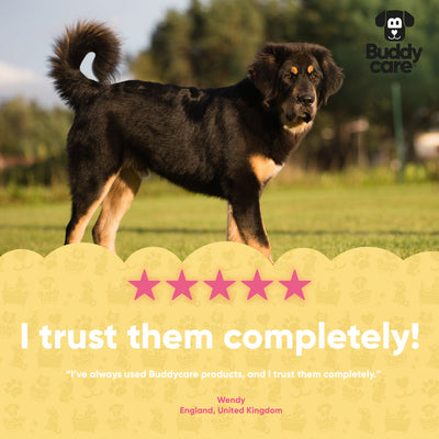 Buddycare Dog Shampoo - Rhubarb & Custard - 5L / 1.32 Gal