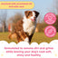Buddycare Dog Shampoo - Rhubarb & Custard - 500ml / 16.9 fl oz