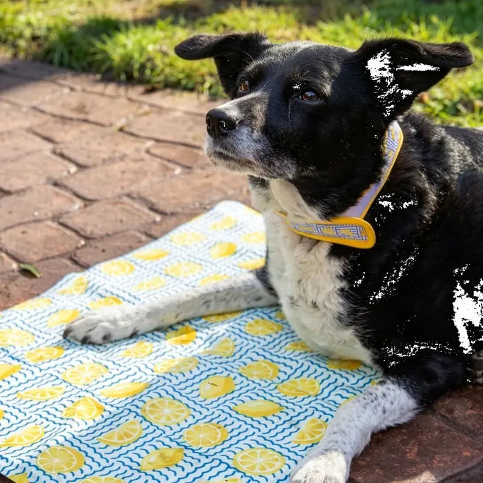 Rosewood Dog Cooling Mat 65 X 50cm